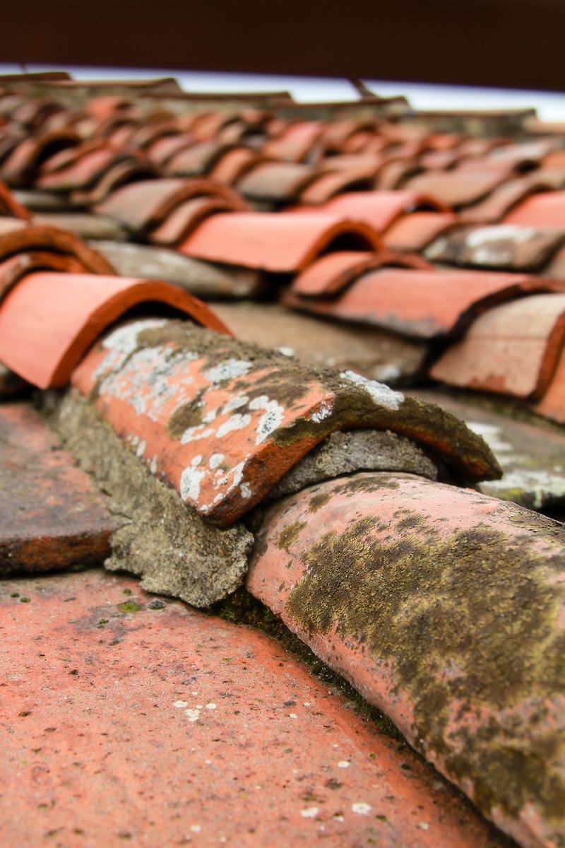 IMG_0906 florence tiles on giottos campanile IMG_0906 florence tiles on giottos campanile