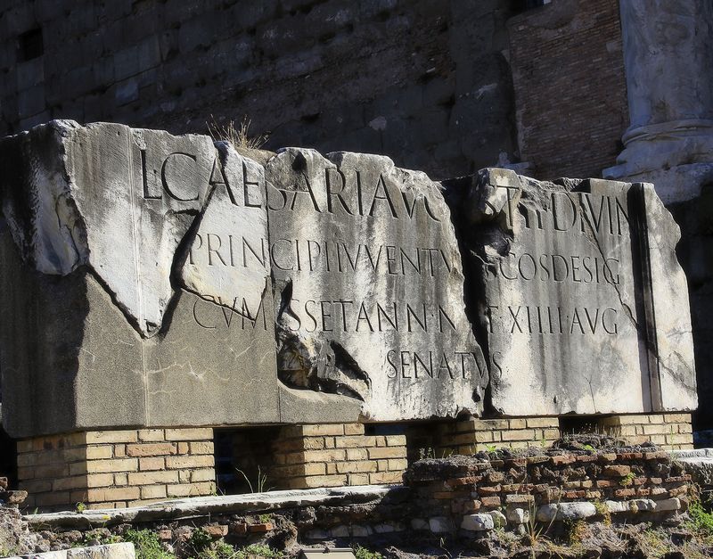 Forum detail small amy sorensen Forum detail small amy sorensen