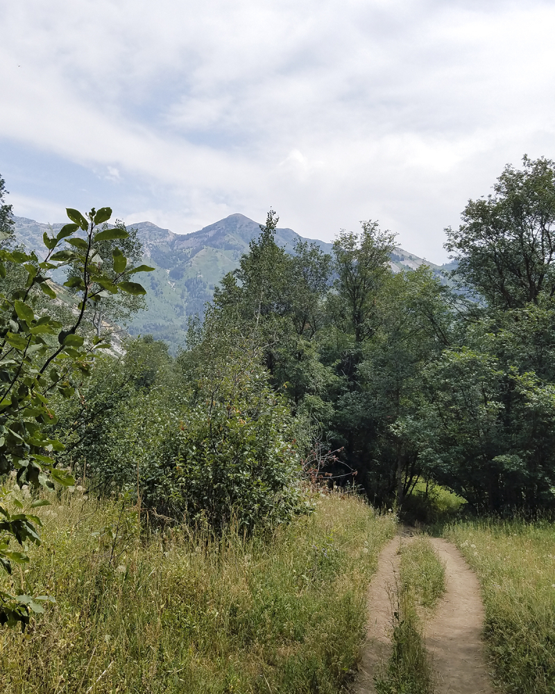 Squawk peak trail no2 Squawk peak trail no2