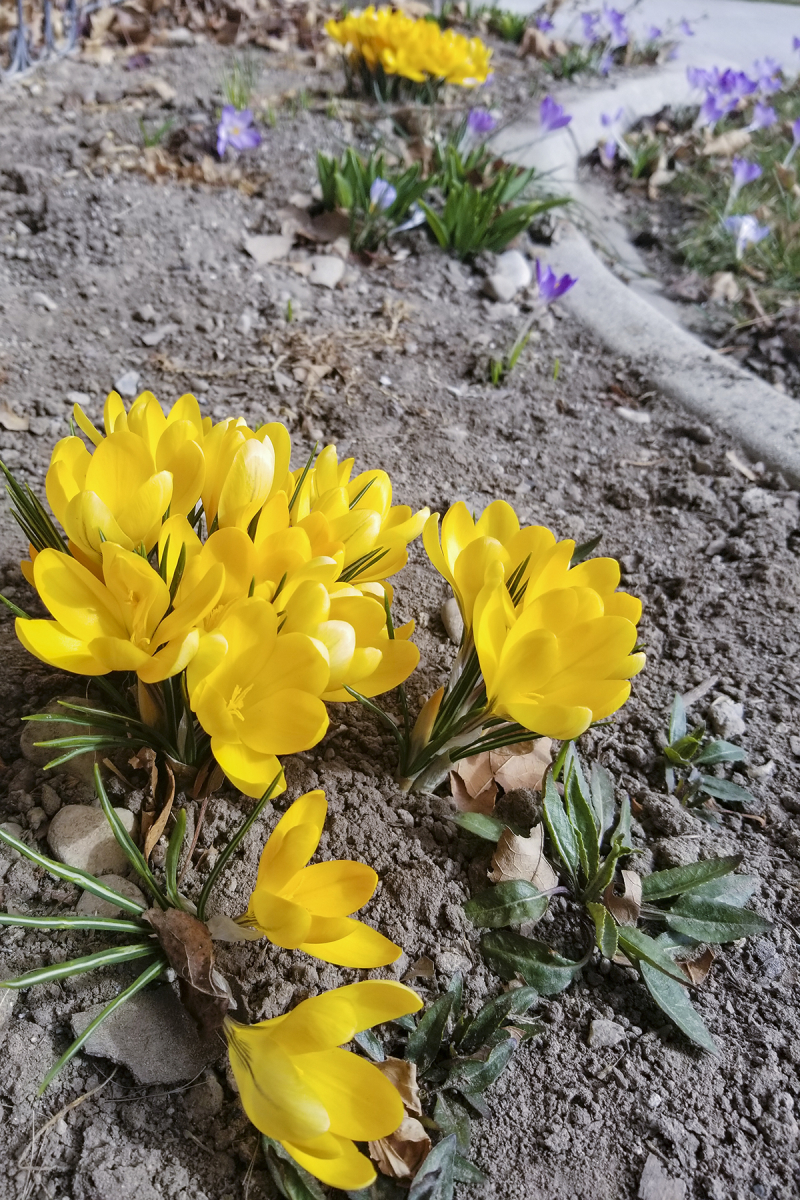 Feb 18 on 18 no6 Feb 18 on 18 no6