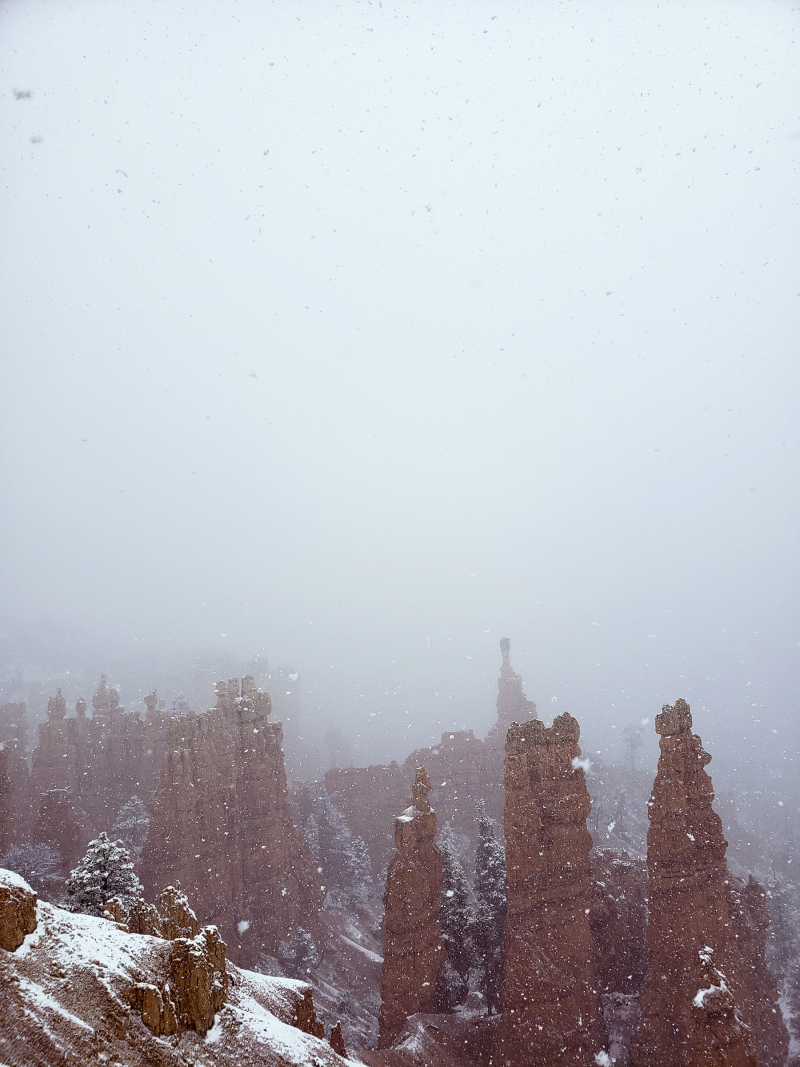 20190523_095250 bryce in snow 6x8 20190523_095250 bryce in snow 6x8