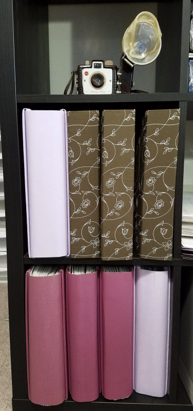 Scrapbooks on bookshelf